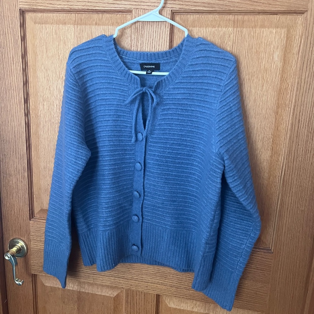 Calligraphie Wool blend Blue Women's Sweater